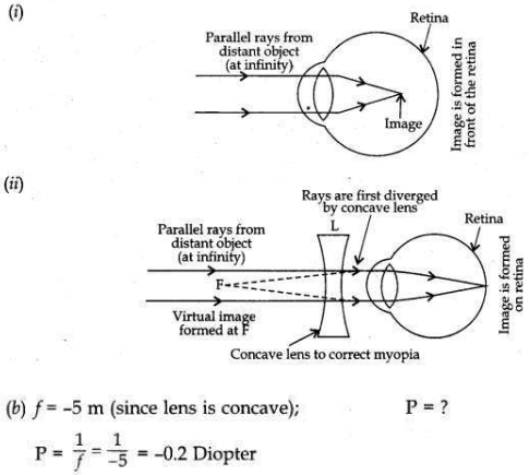 CBSE Sample Papers for Class 10 Science Solved Set 2 21 ii