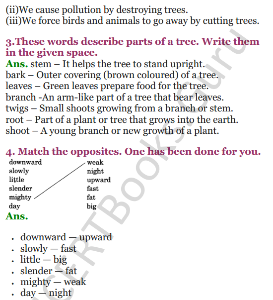 NCERT Solutions for class 3 English Unit-3 Poem Little by Little 3