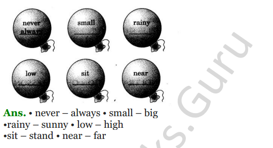 NCERT Solutions for class 3 English Unit-5 Poem The Balloon Man 3