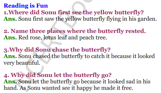 NCERT Solutions for Class 3 English Unit-5 The Yellow Butterfly 1