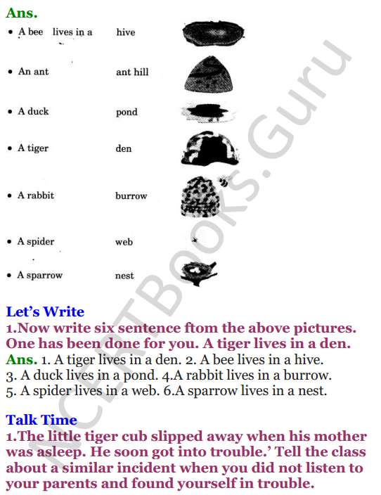 NCERT Solutions for Class 3 English Unit-7 Little tiger, Big tiger 6