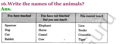 NCERT Solutions for Class 3 EVS Chapter 19 Our Friends-Animal 5
