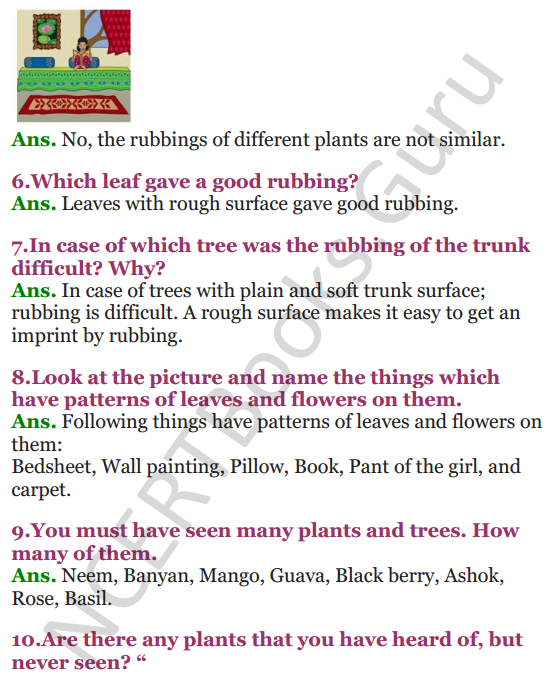 NCERT Solutions for Class 3 EVS Chapter 2 The Plant Fairy 2