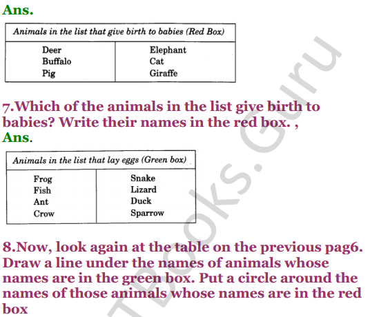 NCERT Solutions for Class 4 EVS Chapter 2 Ear To Ear 6