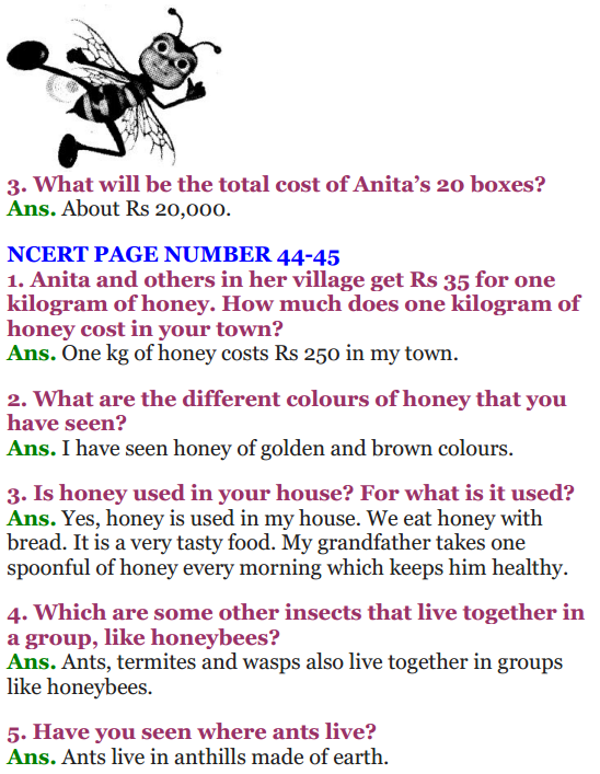 NCERT Solutions for Class 4 EVS Chapter 5 Anita And The Honeybees 4