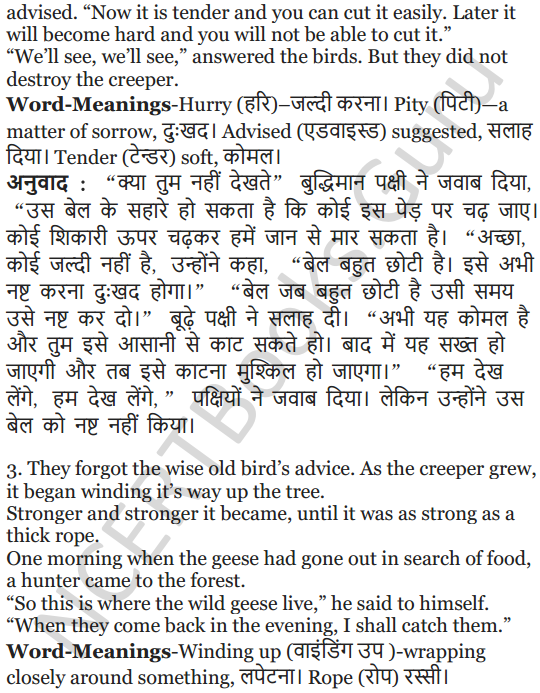NCERT Solutions for Class 5 English Unit 2 Chapter 2 Flying Together 16