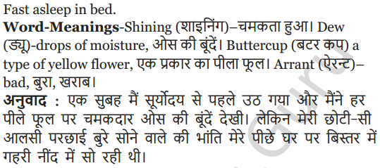 NCERT Solutions for Class 5 English Unit 3 Chapter 1 My Shadow 9