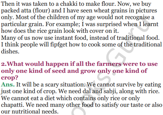 NCERT Solutions for Class 5 EVS Chapter 19 A Seed Tells A Farmers Story 8