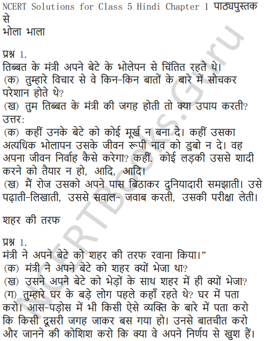 NCERT Solutions for Class 5 Hindi Chapter 1 रखा की रस्सी 1