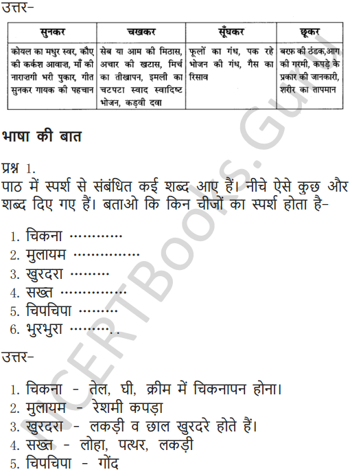 NCERT Solutions for Class 6 Hindi Chapter 11 जो देखकर भी नहीं देखते 5