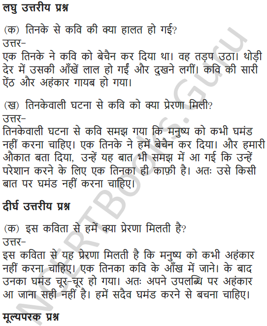 NCERT Solutions for Class 7 Hindi Chapter 13 एक तिनका 9