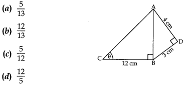MCQ Questions for Class 10 Maths Application of Trigonometry with Answers 6