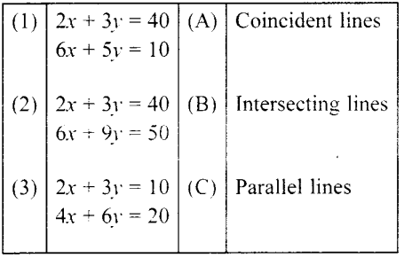 MCQ Questions for Class 10 Maths Pair of Linear Equations in Two Variables with Solutions 5