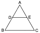 MCQ Questions for Class 10 Maths Triangles with Answers 23